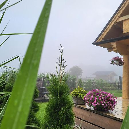 Sudecki Dym Z Kominkiem Kolo Karpacza. Agroturystyka Janowice Wielkie Exterior photo