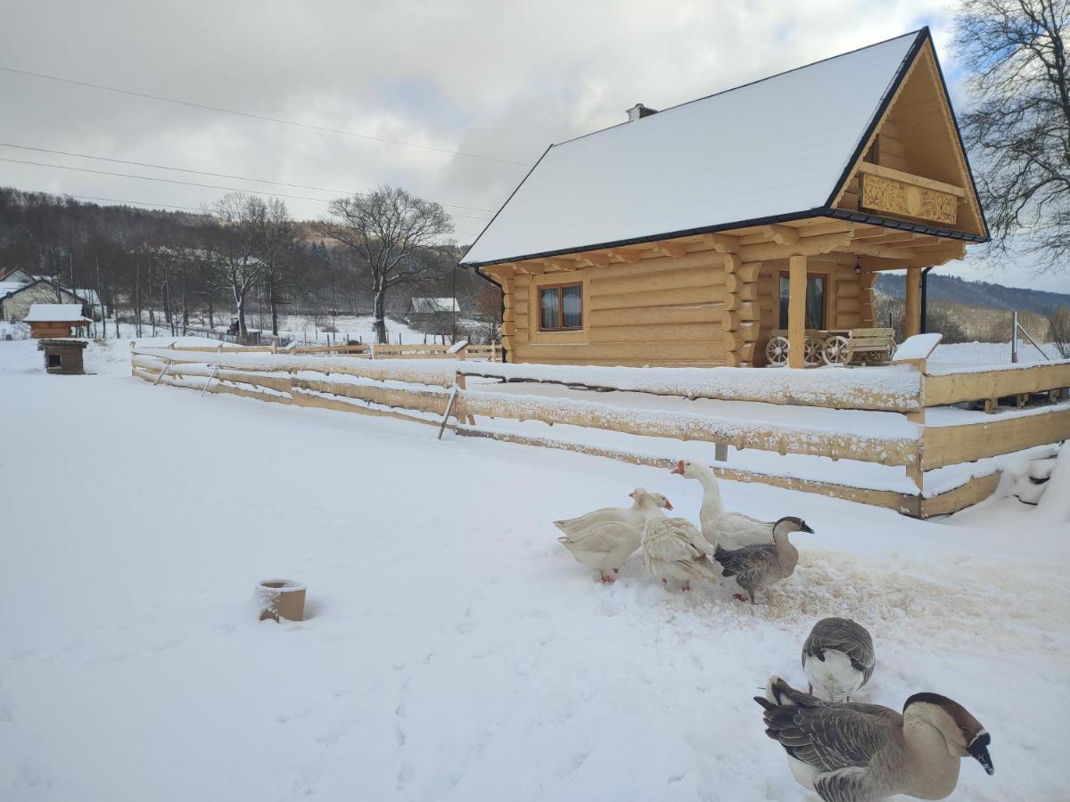 Sudecki Dym Z Kominkiem Kolo Karpacza. Agroturystyka Janowice Wielkie Exterior photo