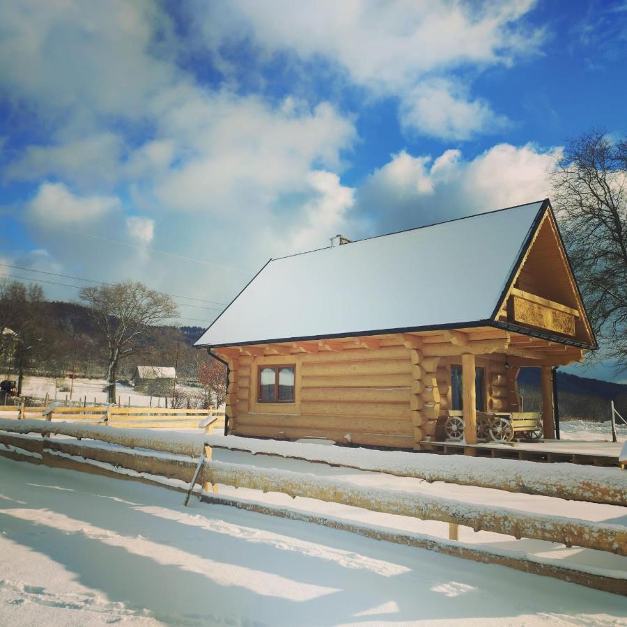 Sudecki Dym Z Kominkiem Kolo Karpacza. Agroturystyka Janowice Wielkie Exterior photo