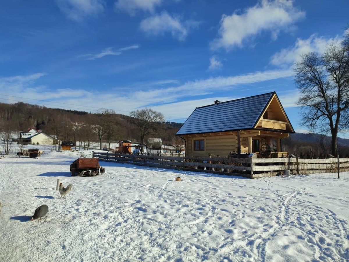 Sudecki Dym Z Kominkiem Kolo Karpacza. Agroturystyka Janowice Wielkie Exterior photo