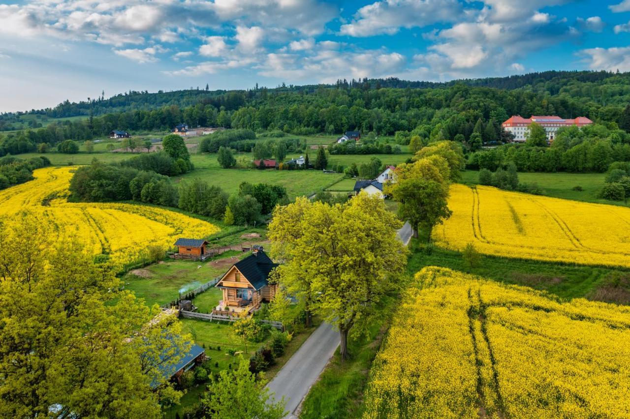 Sudecki Dym Z Kominkiem Kolo Karpacza. Agroturystyka Janowice Wielkie Exterior photo