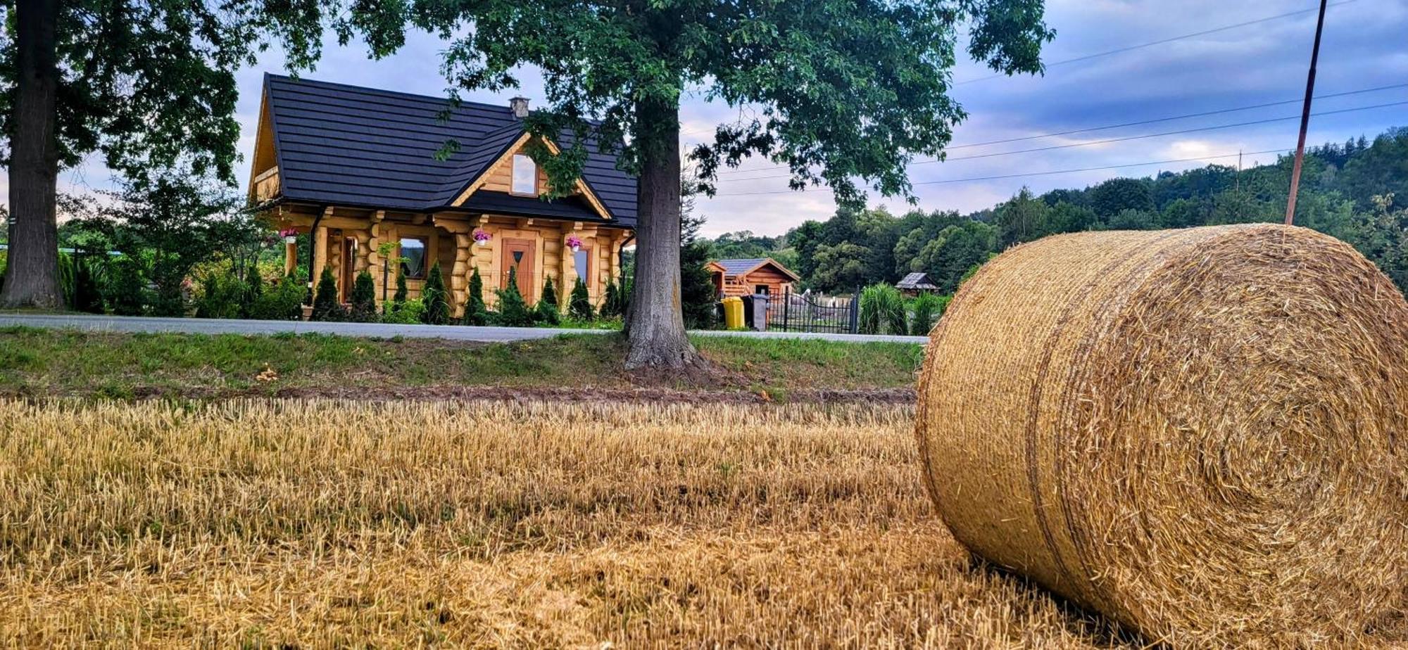Sudecki Dym Z Kominkiem Kolo Karpacza. Agroturystyka Janowice Wielkie Exterior photo